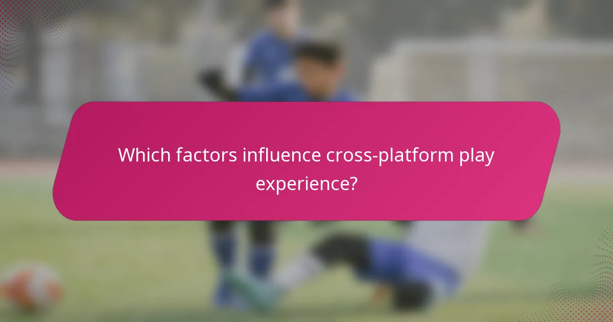 Which factors influence cross-platform play experience?